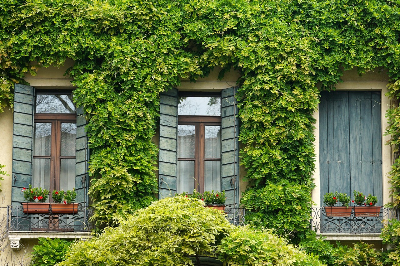 Nowa jakość zieleni w architekturze użytkowej