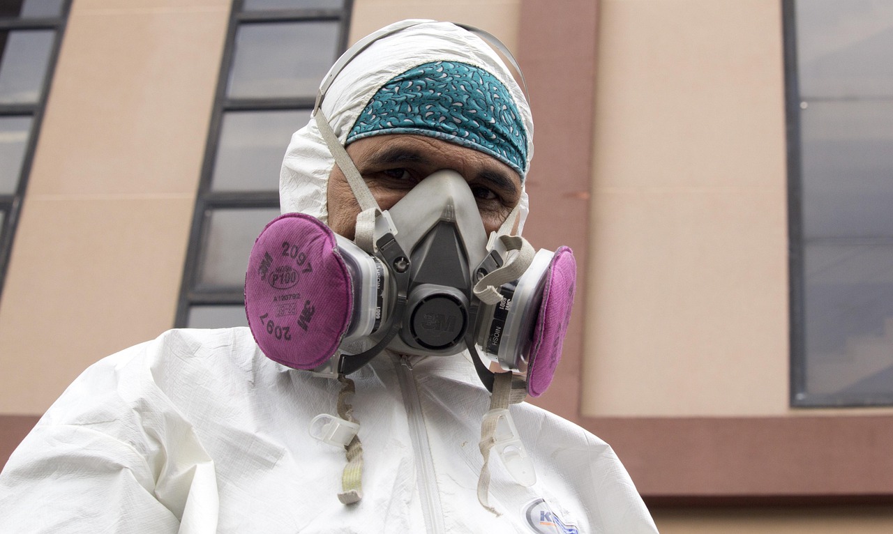 Gazowa metoda zwalczania szkodników konstrukcyjnych